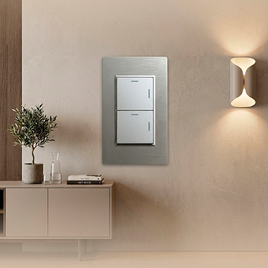 Placas_2025-